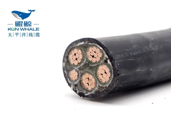 低煙無鹵電纜應用在哪些場所你知道嗎？